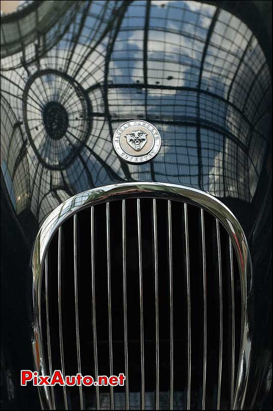 reflets verriere grand palais sur capot jaguar